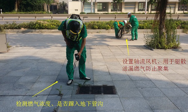 金沙(8087-js认证)娱场城-Officialwebsite