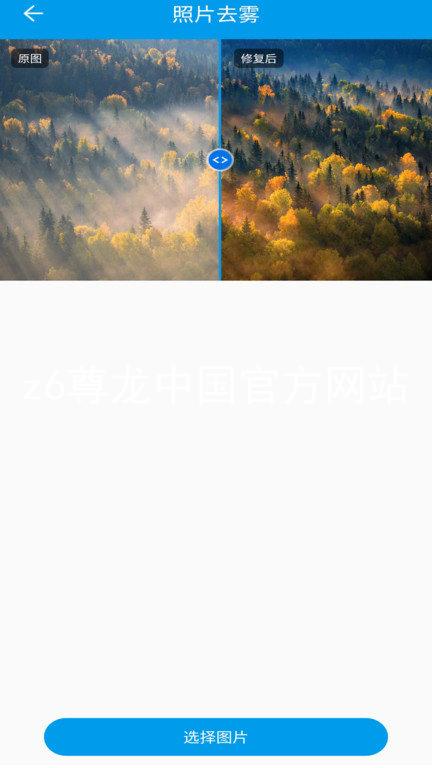 z6尊龙中国官方网站