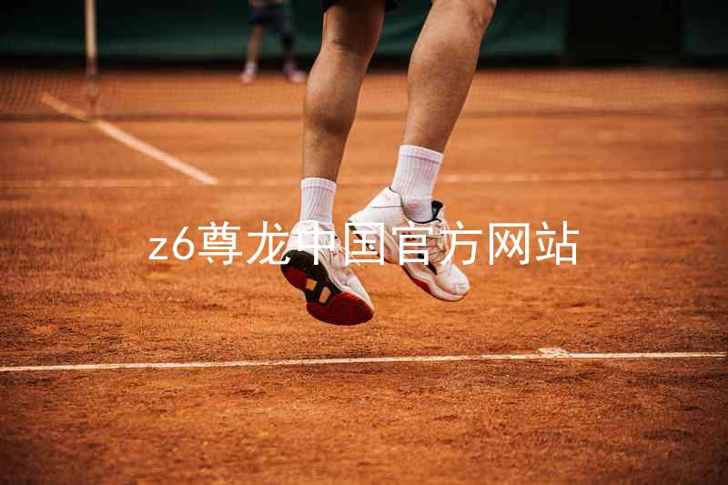 z6尊龙中国官方网站