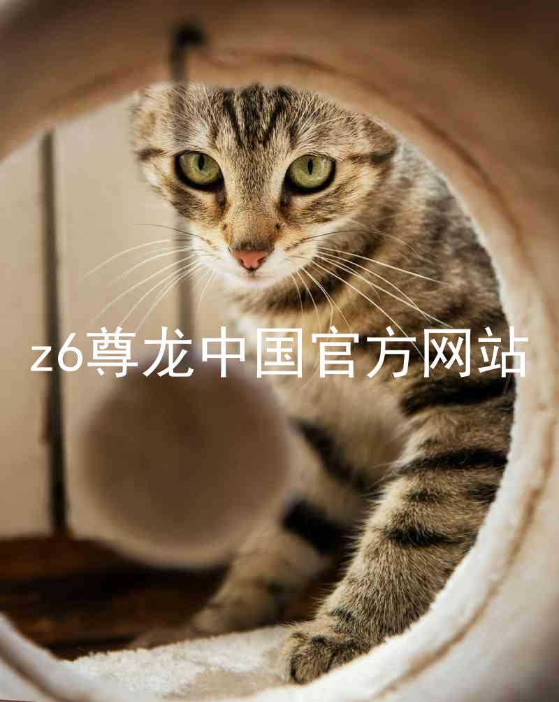 z6尊龙中国官方网站